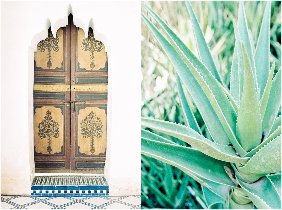 Diptych of Morocco detailed doorway and plant